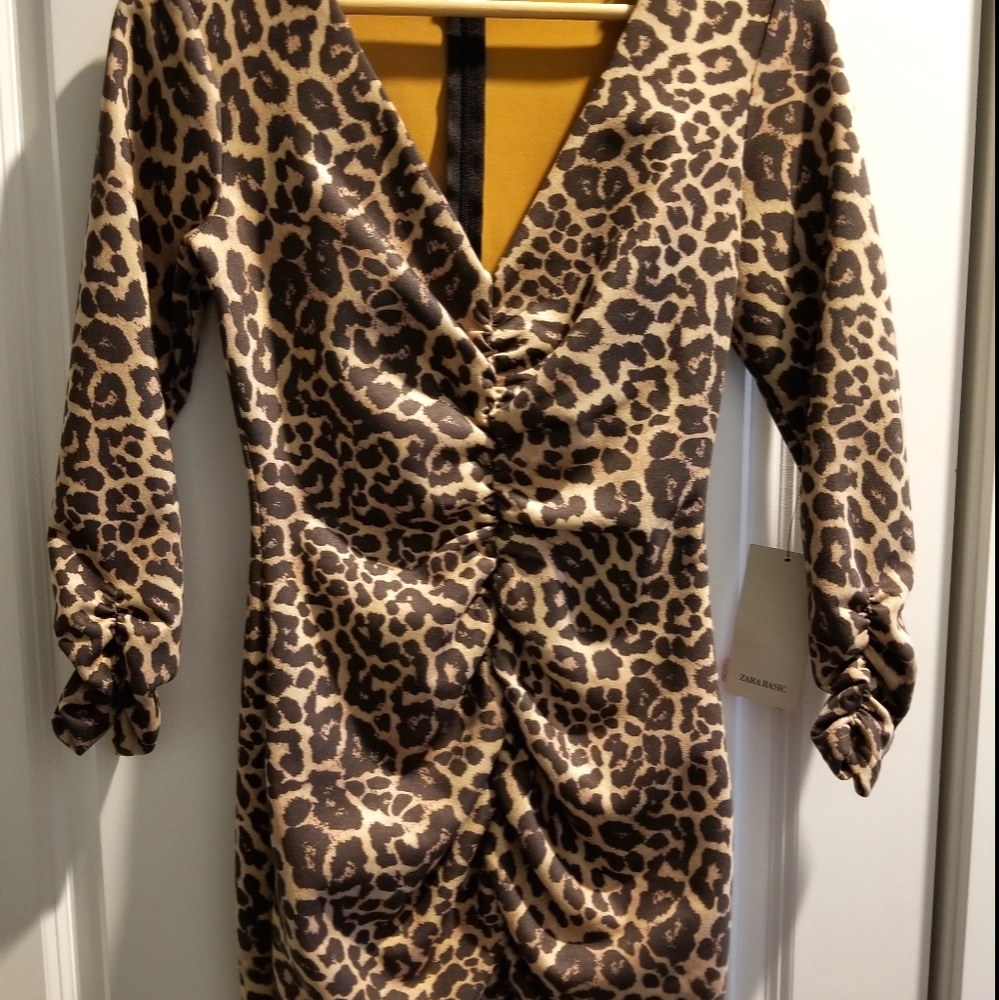 Zara mini ruched bodycon dress